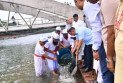 বিএনপির প্রতিষ্ঠাবার্ষিকীতে জিয়া উদ্যানের জলাশয়ে মৎস্য অবমুক্ত করলেন প্রধানমন্ত্রী